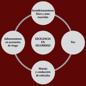 Programa de Adiestramiento