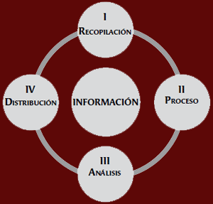 Circulo Virtuoso de la Información